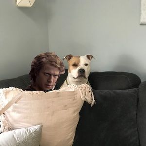 Meet your Posher, Liam